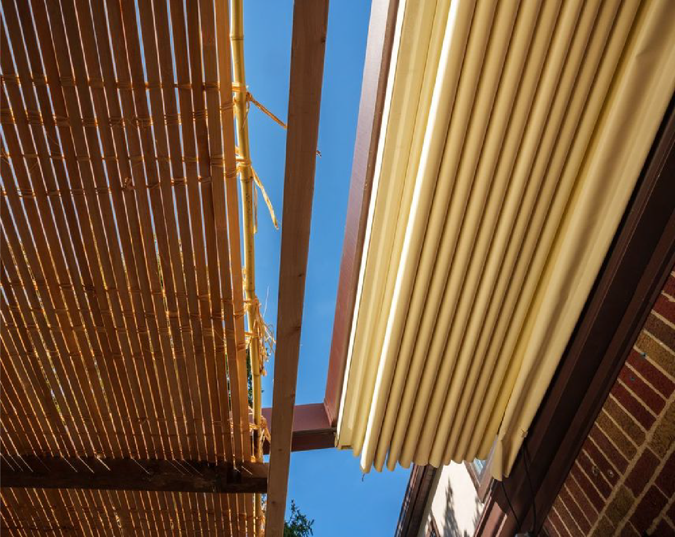 Sukkah-05